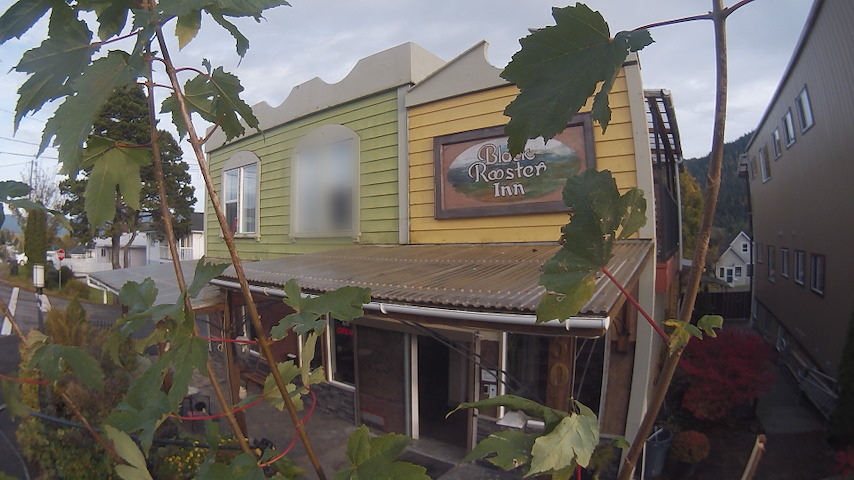Live camerakanaal van Black Rooster Guesthouse in Prince Rupert, BC, Canada