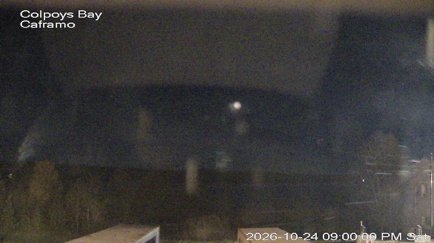 Live camera feed from Caframo in Georgian Bluffs, Ontario, Canada