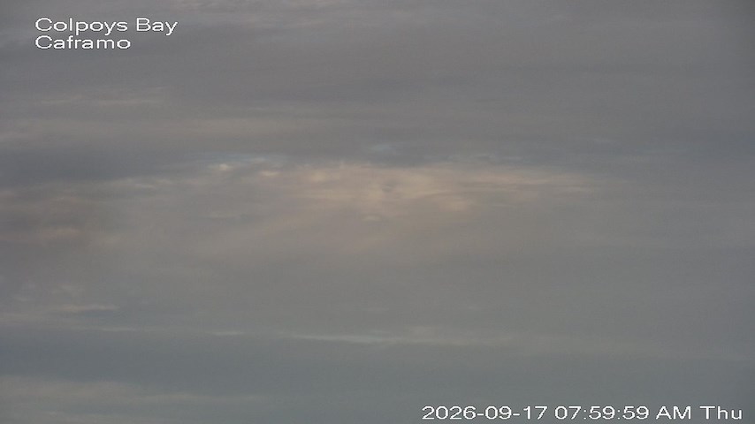 Live camera feed from Caframo in Georgian Bluffs, Ontario, Canada