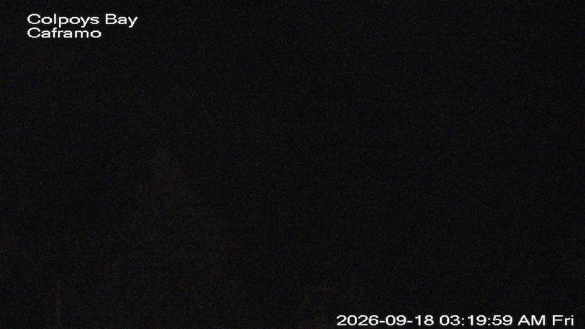 Live camera feed from Caframo in Georgian Bluffs, Ontario, Canada