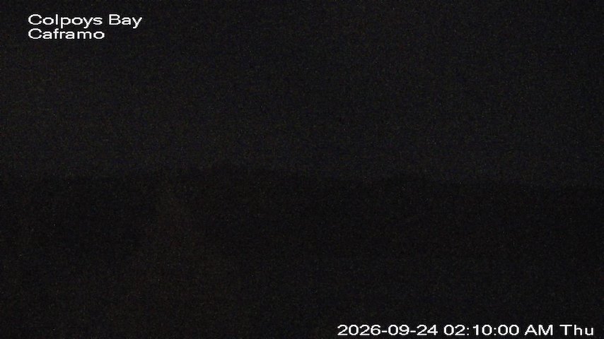 Live camera feed from Caframo in Georgian Bluffs, Ontario, Canada
