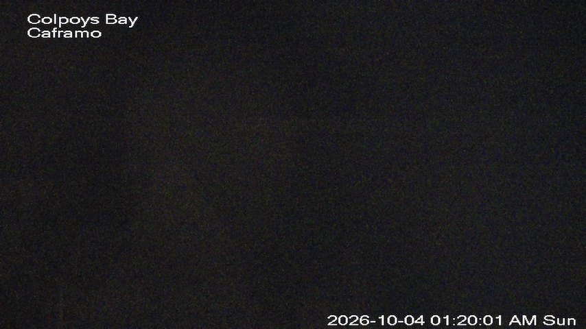 Live camera feed from Caframo in Georgian Bluffs, Ontario, Canada