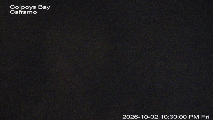 Live camera feed from Caframo in Georgian Bluffs, Ontario, Canada