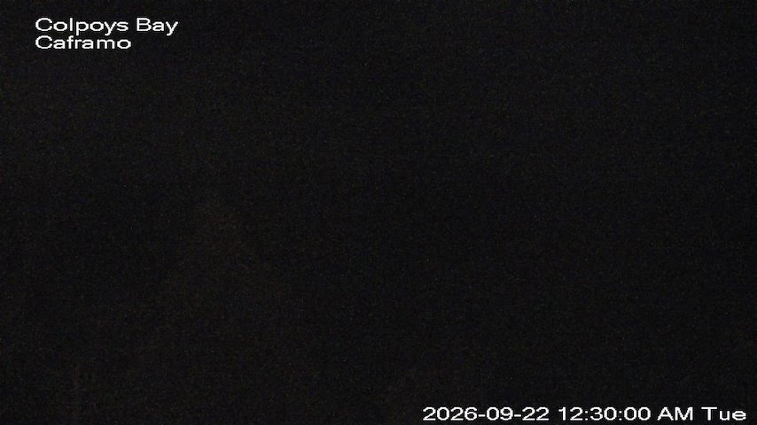 Live camera feed from Caframo in Georgian Bluffs, Ontario, Canada