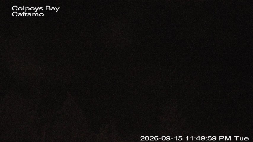 Live camera feed from Caframo in Georgian Bluffs, Ontario, Canada