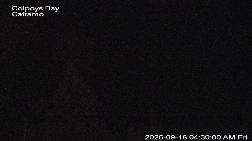 Live camera feed from Caframo in Georgian Bluffs, Ontario, Canada