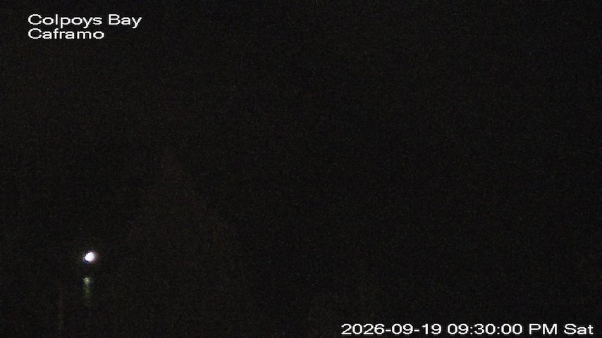 Live camera feed from Caframo in Georgian Bluffs, Ontario, Canada