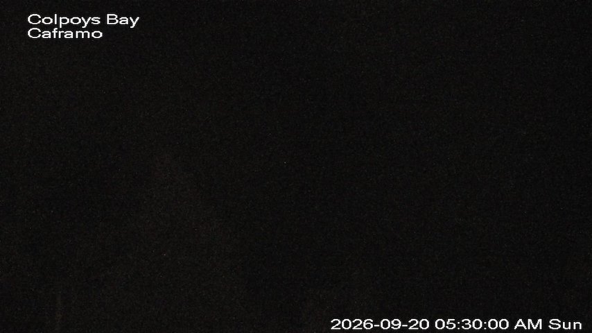 Live camera feed from Caframo in Georgian Bluffs, Ontario, Canada