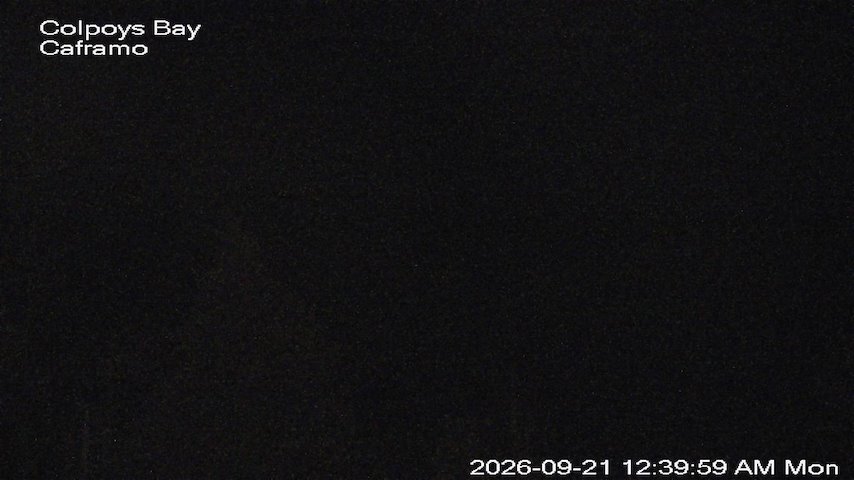 Live camera feed from Caframo in Georgian Bluffs, Ontario, Canada