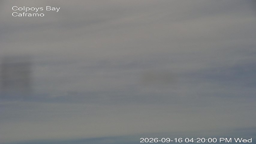 Live camera feed from Caframo in Georgian Bluffs, Ontario, Canada