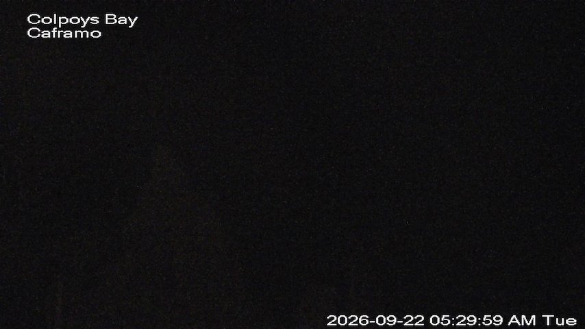 Live camera feed from Caframo in Georgian Bluffs, Ontario, Canada