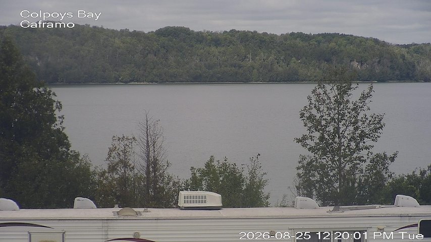 Live camera feed from Caframo in Georgian Bluffs, Ontario, Canada