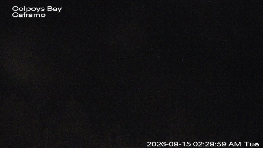 Live camera feed from Caframo in Georgian Bluffs, Ontario, Canada