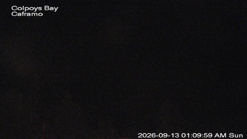 Live camera feed from Caframo in Georgian Bluffs, Ontario, Canada
