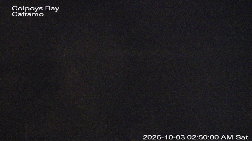 Live camera feed from Caframo in Georgian Bluffs, Ontario, Canada