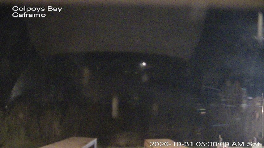 Live camera feed from Caframo in Georgian Bluffs, Ontario, Canada