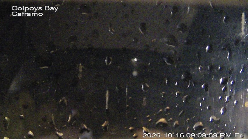 Live camera feed from Caframo in Georgian Bluffs, Ontario, Canada