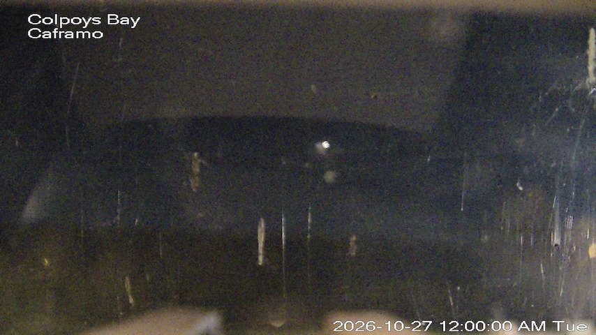 Live camera feed from Caframo in Georgian Bluffs, Ontario, Canada