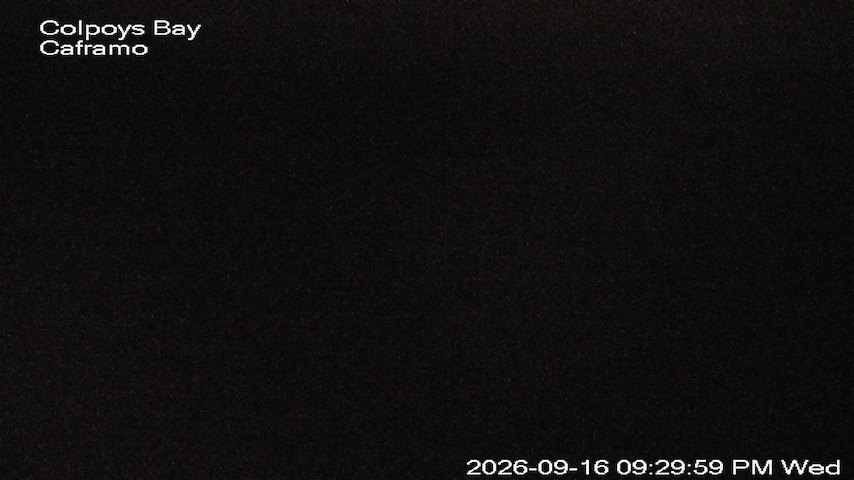 Live camera feed from Caframo in Georgian Bluffs, Ontario, Canada