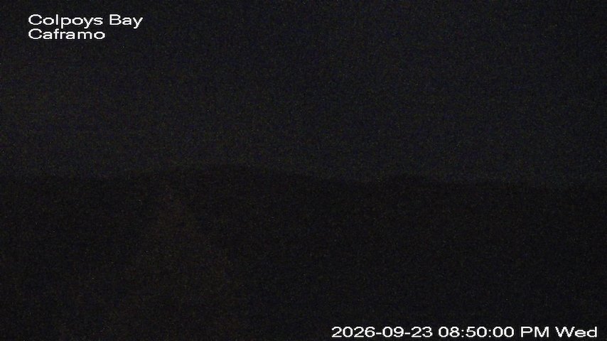 Live camera feed from Caframo in Georgian Bluffs, Ontario, Canada