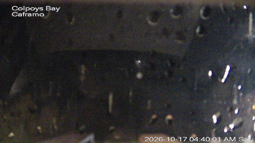 Live camera feed from Caframo in Georgian Bluffs, Ontario, Canada