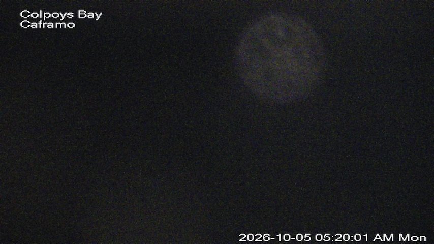 Live camera feed from Caframo in Georgian Bluffs, Ontario, Canada