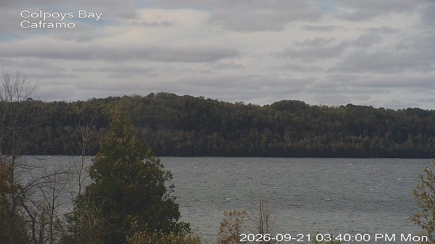 Live camera feed from Caframo in Georgian Bluffs, Ontario, Canada