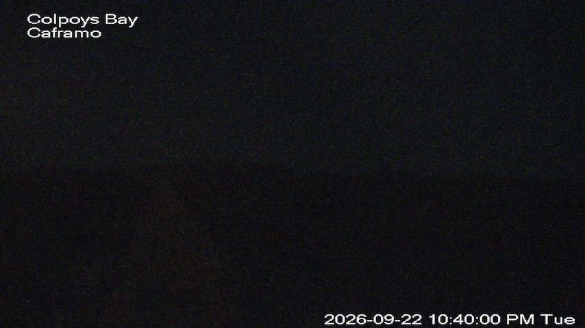 Live camera feed from Caframo in Georgian Bluffs, Ontario, Canada