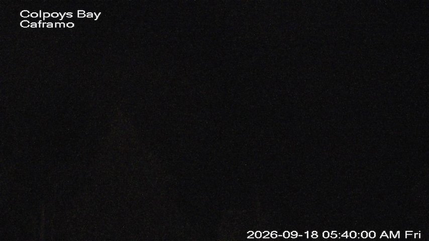 Live camera feed from Caframo in Georgian Bluffs, Ontario, Canada