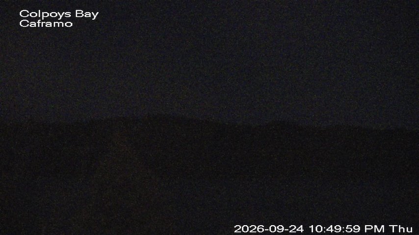 Live camera feed from Caframo in Georgian Bluffs, Ontario, Canada