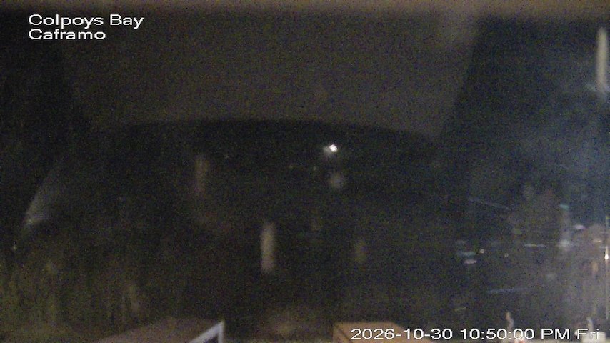 Live camera feed from Caframo in Georgian Bluffs, Ontario, Canada
