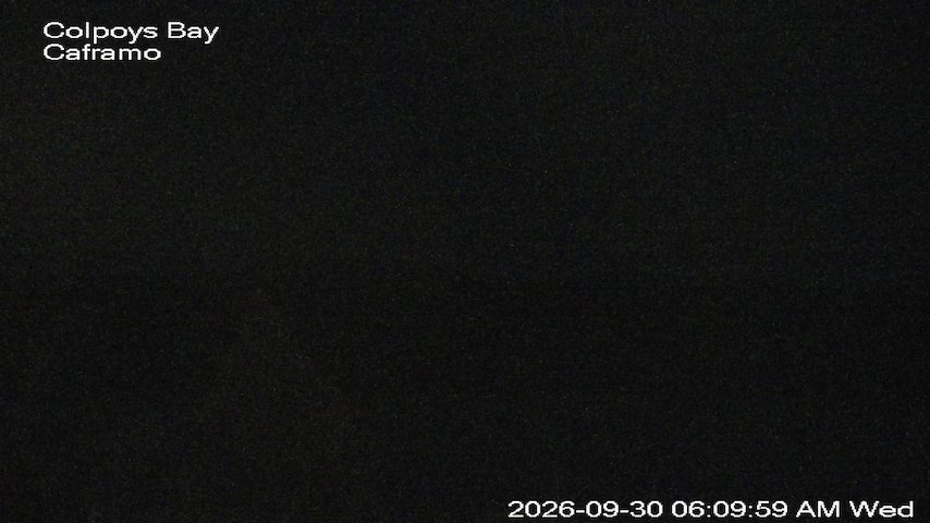 Live camera feed from Caframo in Georgian Bluffs, Ontario, Canada