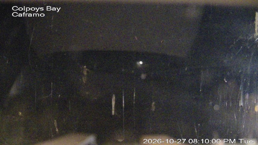 Live camera feed from Caframo in Georgian Bluffs, Ontario, Canada