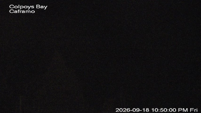 Live camera feed from Caframo in Georgian Bluffs, Ontario, Canada