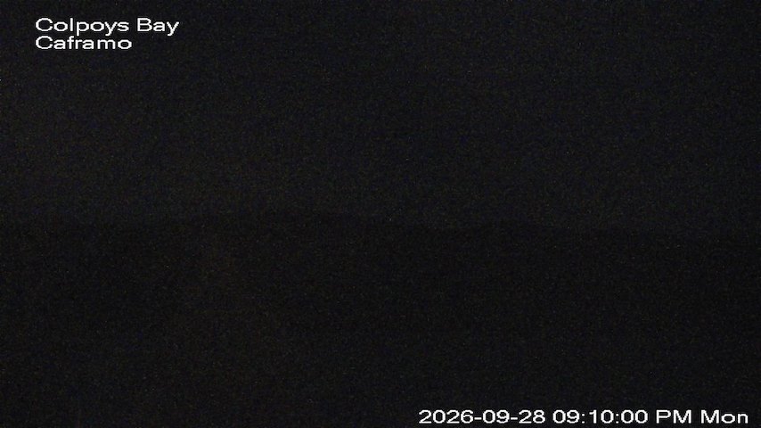 Live camera feed from Caframo in Georgian Bluffs, Ontario, Canada