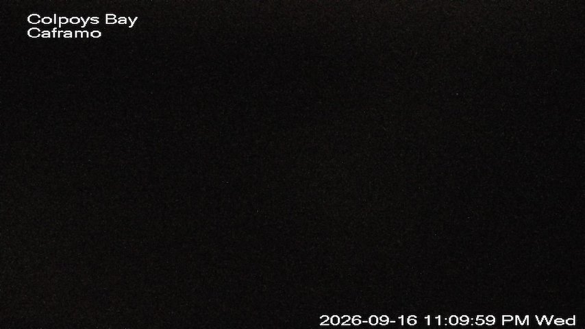 Live camera feed from Caframo in Georgian Bluffs, Ontario, Canada