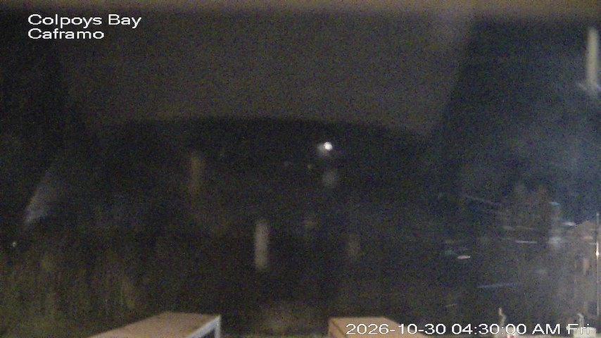 Live camera feed from Caframo in Georgian Bluffs, Ontario, Canada