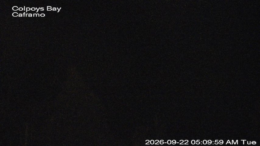 Live camera feed from Caframo in Georgian Bluffs, Ontario, Canada