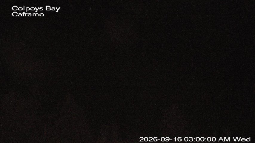 Live camera feed from Caframo in Georgian Bluffs, Ontario, Canada