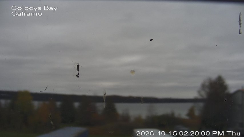 Live camera feed from Caframo in Georgian Bluffs, Ontario, Canada