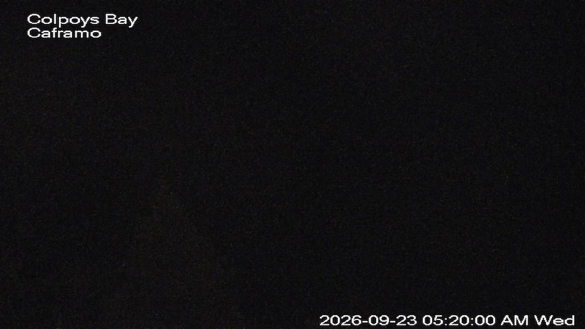 Live camera feed from Caframo in Georgian Bluffs, Ontario, Canada