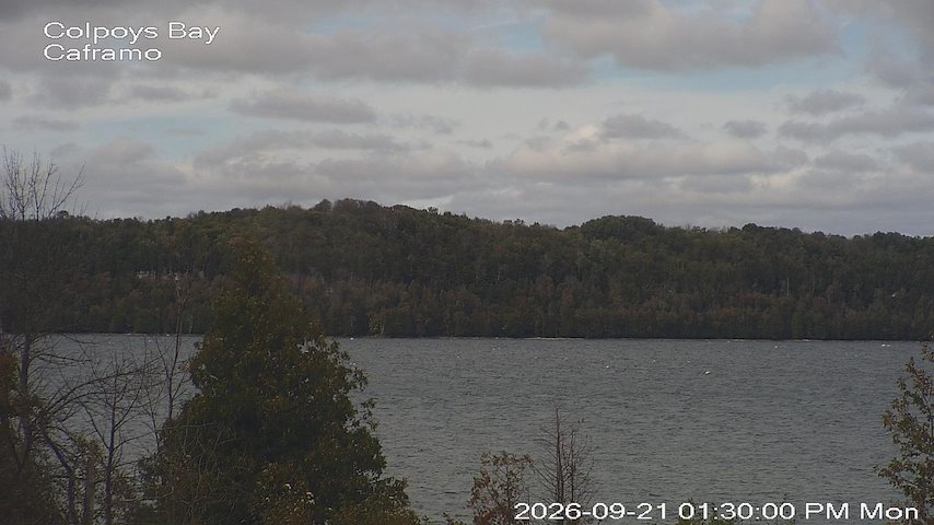 Live camera feed from Caframo in Georgian Bluffs, Ontario, Canada