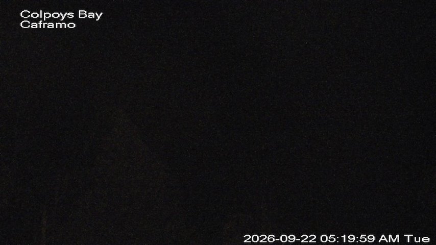 Live camera feed from Caframo in Georgian Bluffs, Ontario, Canada
