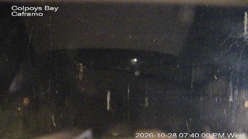 Live camera feed from Caframo in Georgian Bluffs, Ontario, Canada