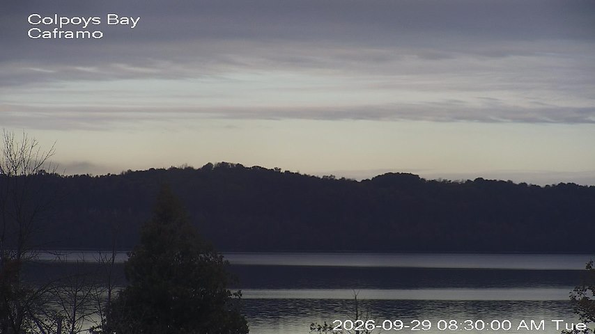Live camera feed from Caframo in Georgian Bluffs, Ontario, Canada