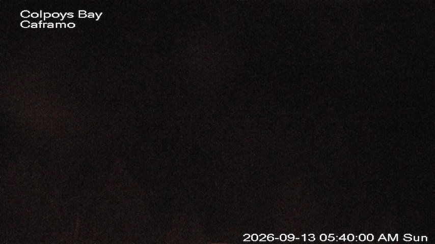 Live camera feed from Caframo in Georgian Bluffs, Ontario, Canada