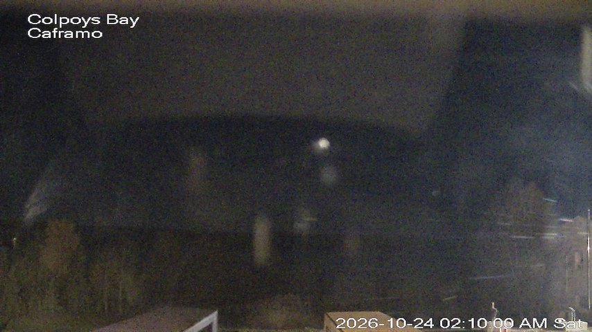 Live camera feed from Caframo in Georgian Bluffs, Ontario, Canada