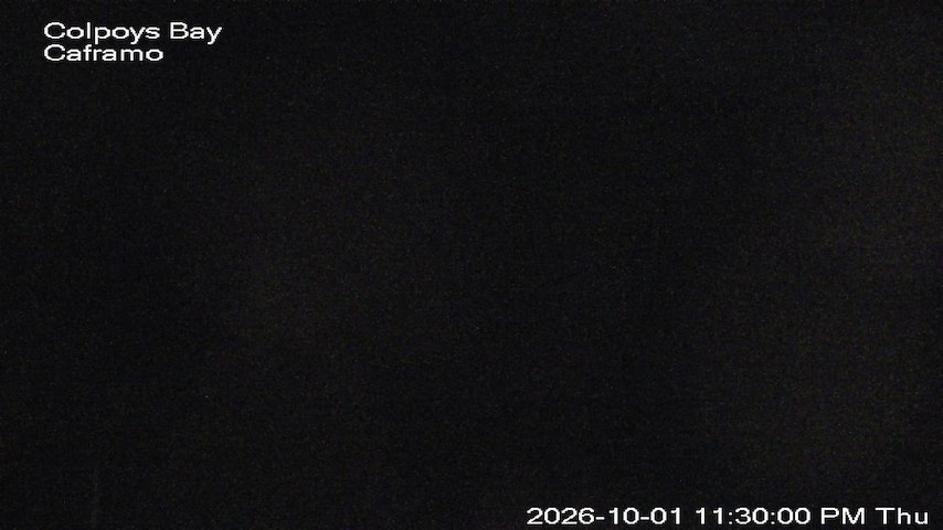 Live camera feed from Caframo in Georgian Bluffs, Ontario, Canada