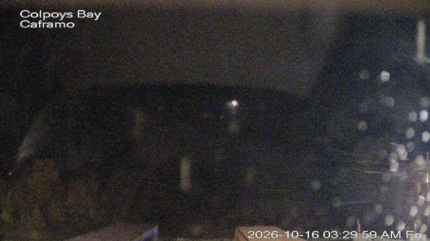 Live camera feed from Caframo in Georgian Bluffs, Ontario, Canada