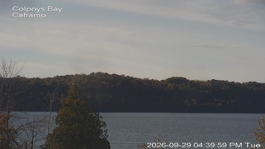 Live camera feed from Caframo in Georgian Bluffs, Ontario, Canada